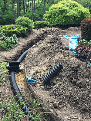 Drainage Solutions Denton